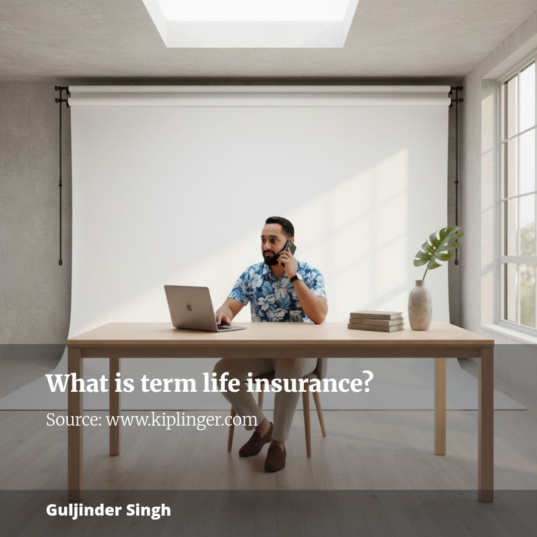 What is term life insurance?